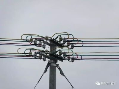 配网工程标准建设工作低压台区准建设方案介绍(转自输配电线路)_军事